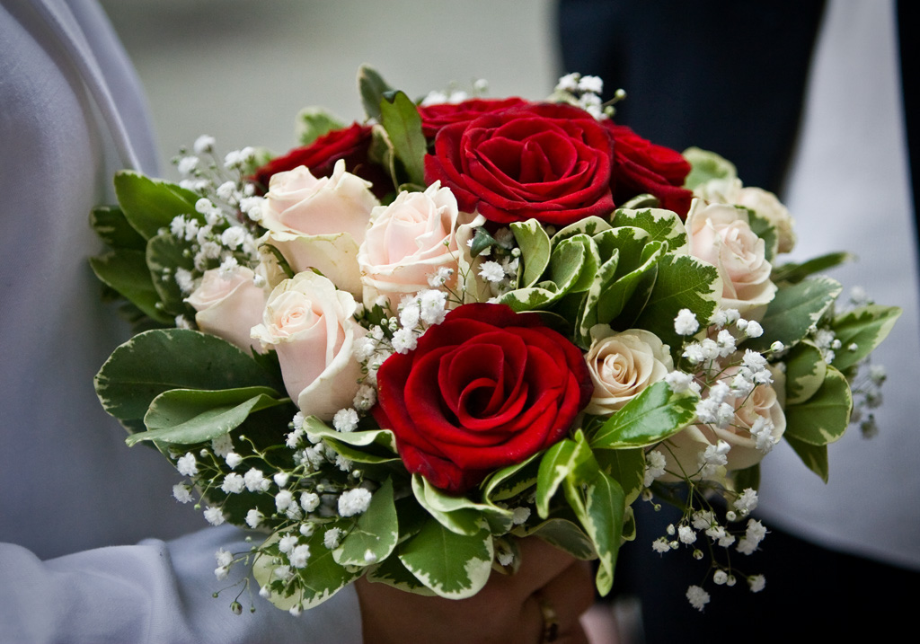 Seckler%20Wedding%20(1%20of%20268)